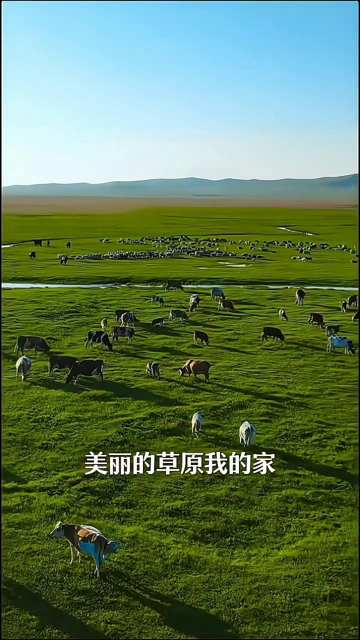 美丽的草原我的家，风吹绿草遍地花，彩蝶纷飞百鸟儿唱，一弯碧水映晚霞。