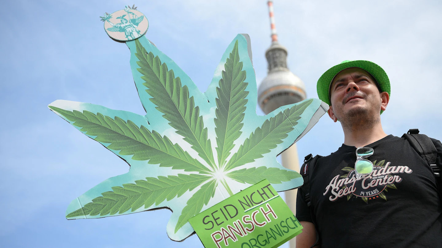 【#德国成欧洲最大合法大麻市场#，进口两年暴增6倍】德国部分放开大麻管制两年后，