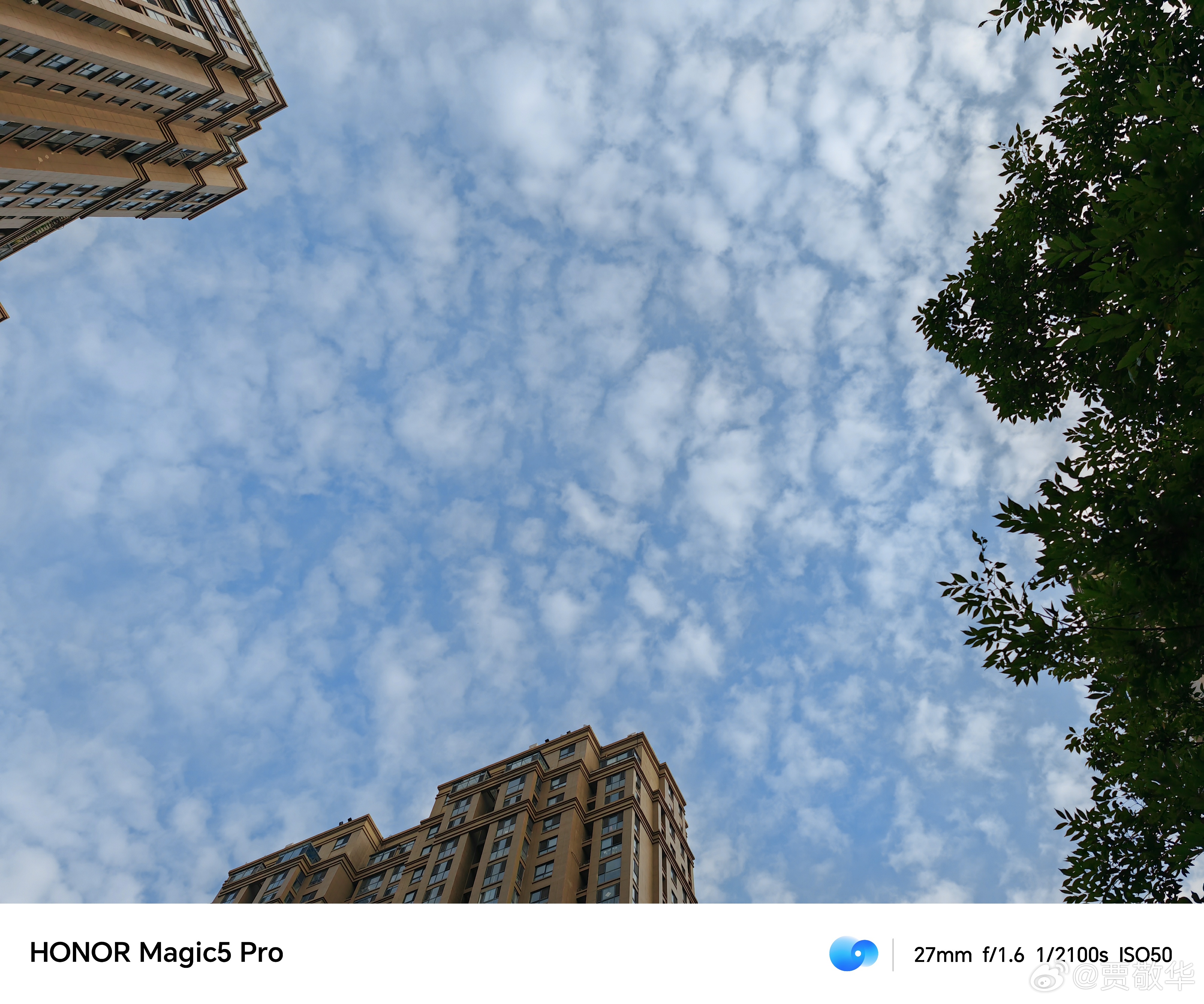 #每天早起打卡# 各位老铁，早上好！今天立秋啦，夏天真的过去了吗？ ​​​