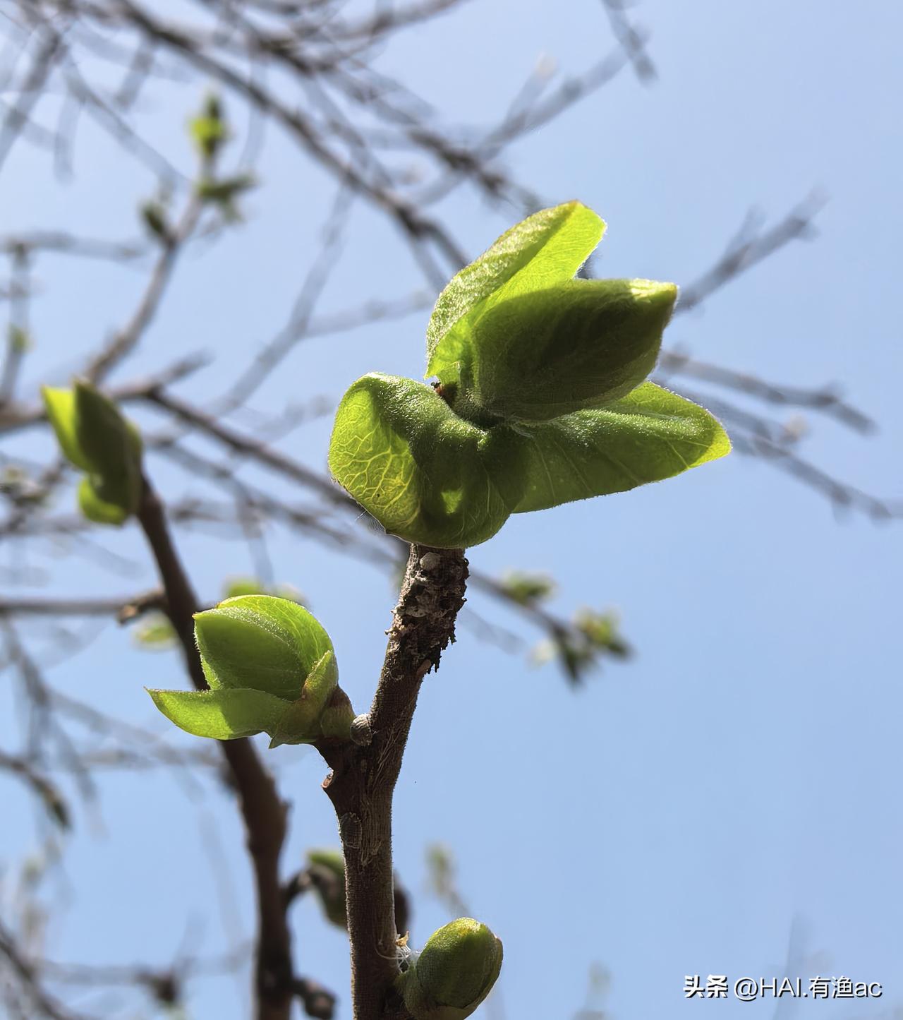 原油暴涨7%，昨晚欧美股市再遭重挫。这对下周一中国股市有什么影响？

根据当前（