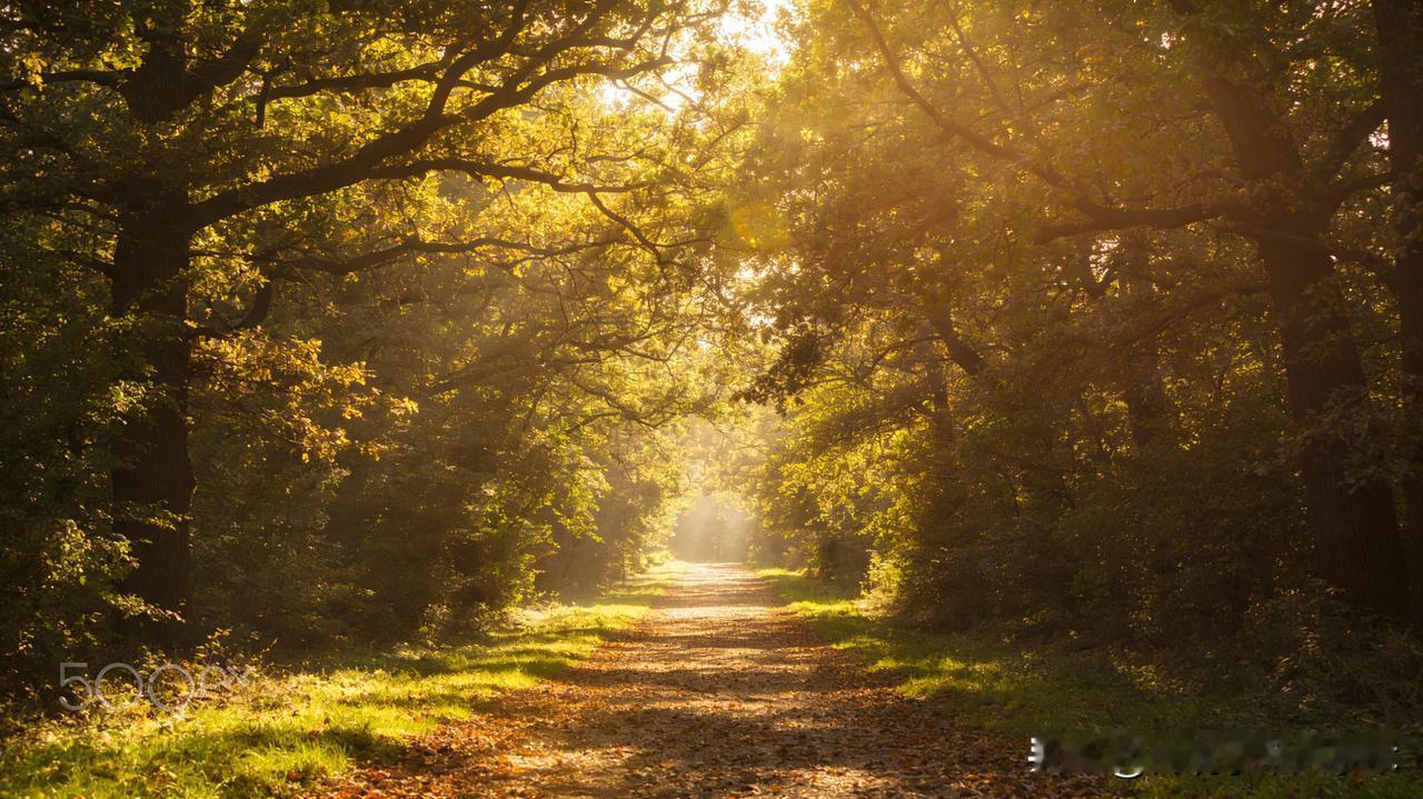 人生下半场，不争不辩，不慌不忙，向阳而行，便是最好的时光。