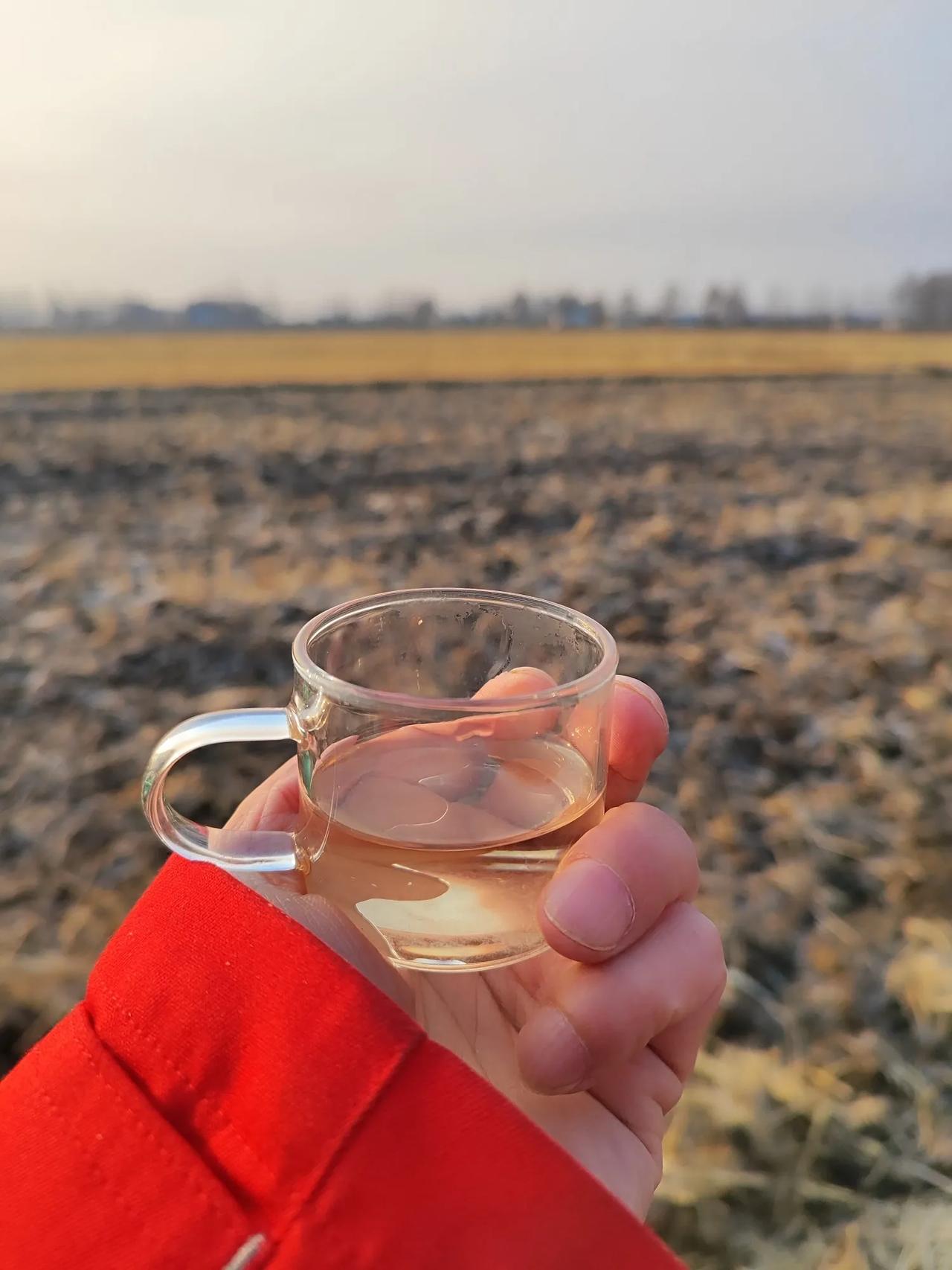 不用问了，以后喝完酒连走路都不行，因为有摔倒的危险，这规定真严格。