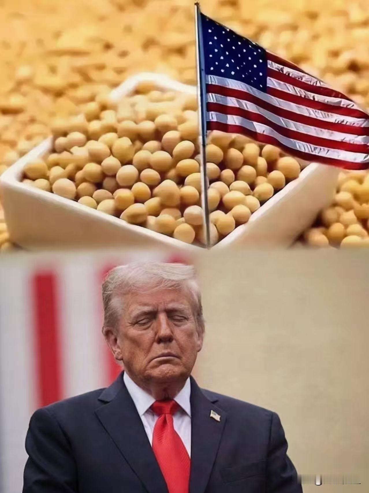 快报！
美国传来消息！
中方近期持续加大美国大豆采购力度，同时放宽对美稀土供应限