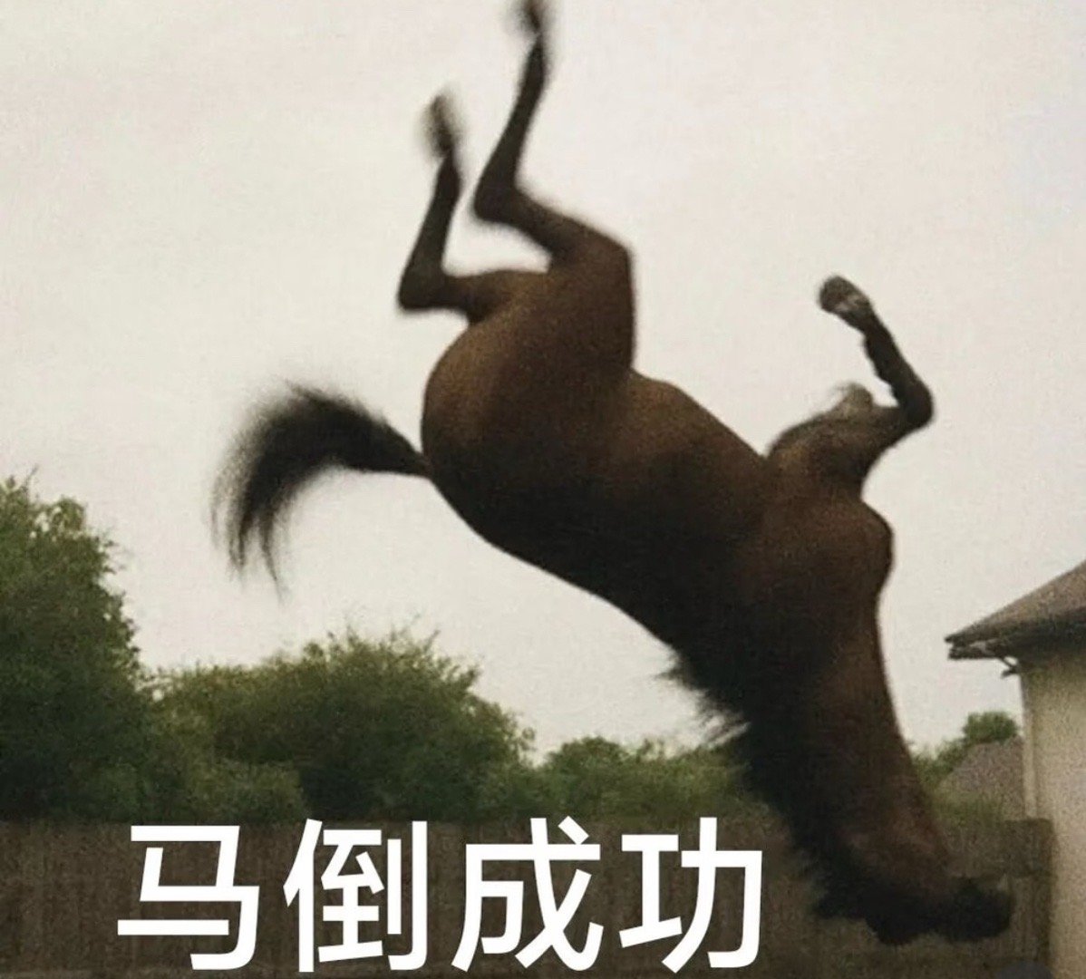 马年春联卷到乐子人了 伊利对春联太会整活！上联马伊琍马年选伊利没想到能这么热！高