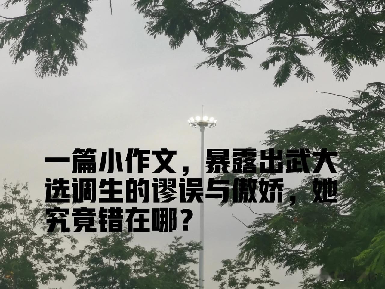 【选调生当以感恩之心回馈社会，而非以傲慢之态对待分配】

近日，一则关于武汉大学