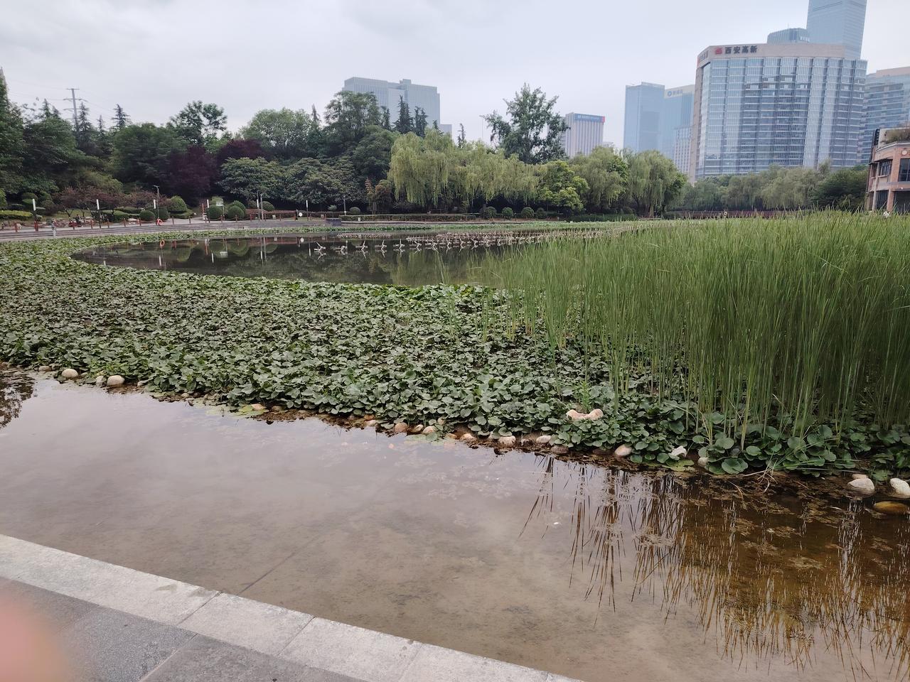 把自己区域的垃圾倒到别人的垃圾桶，让别人情何以堪。
老吴所在的公园有个规定，保洁