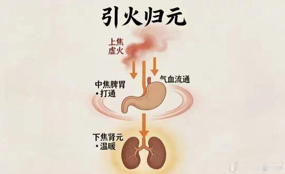 引火归元｜温通下焦，令虚火归藏命门核心病机上热下寒、虚火上浮：命门真火本应安守下