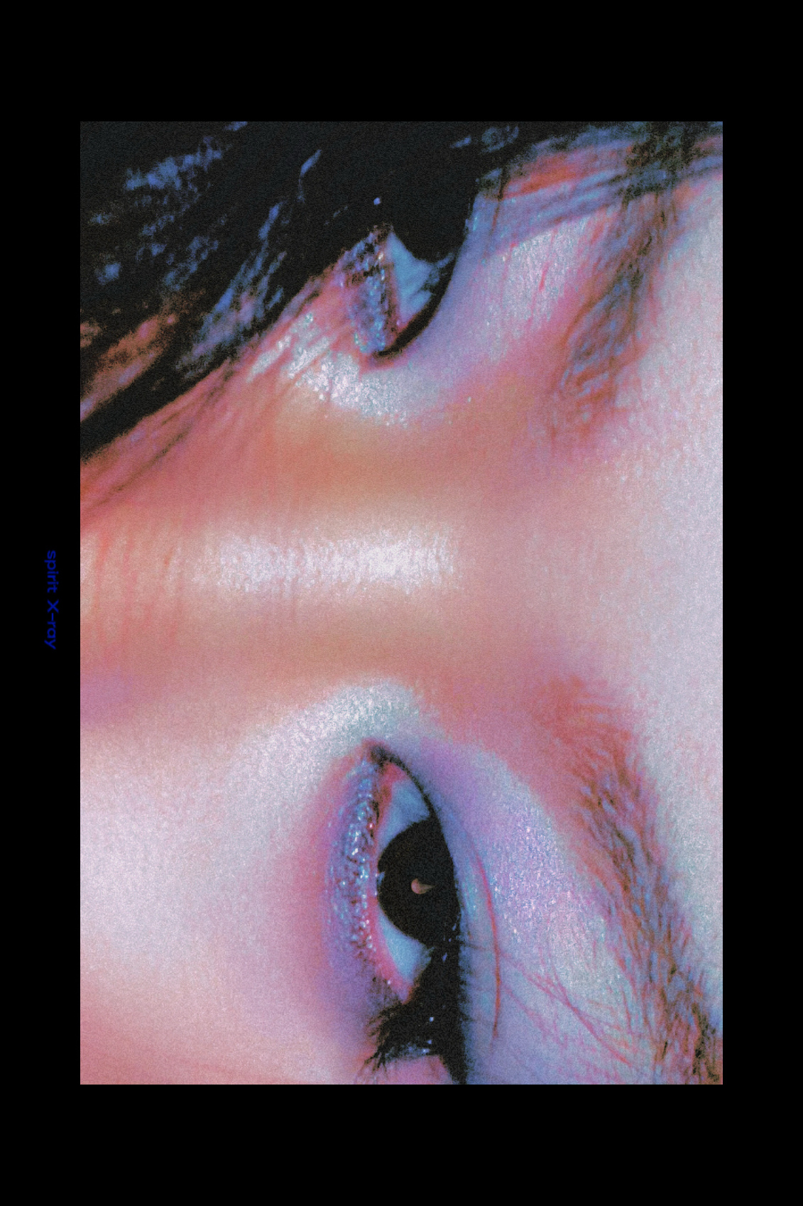 -搬进鸟的眼睛 