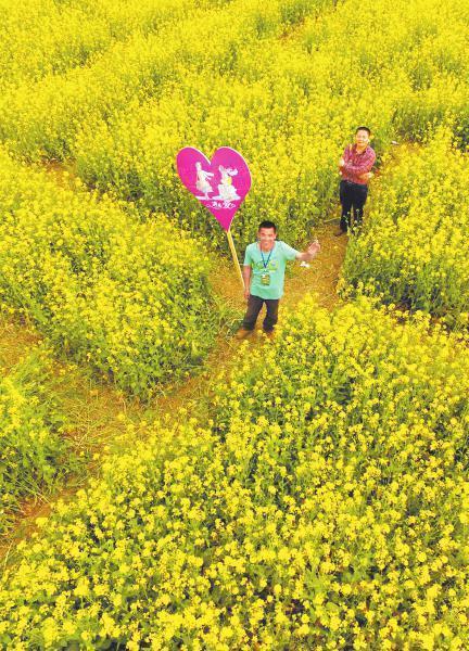 一片金色花海，把“春日流量”装进村民“钱袋子”

当春风轻拂大地，大地渐渐从沉睡