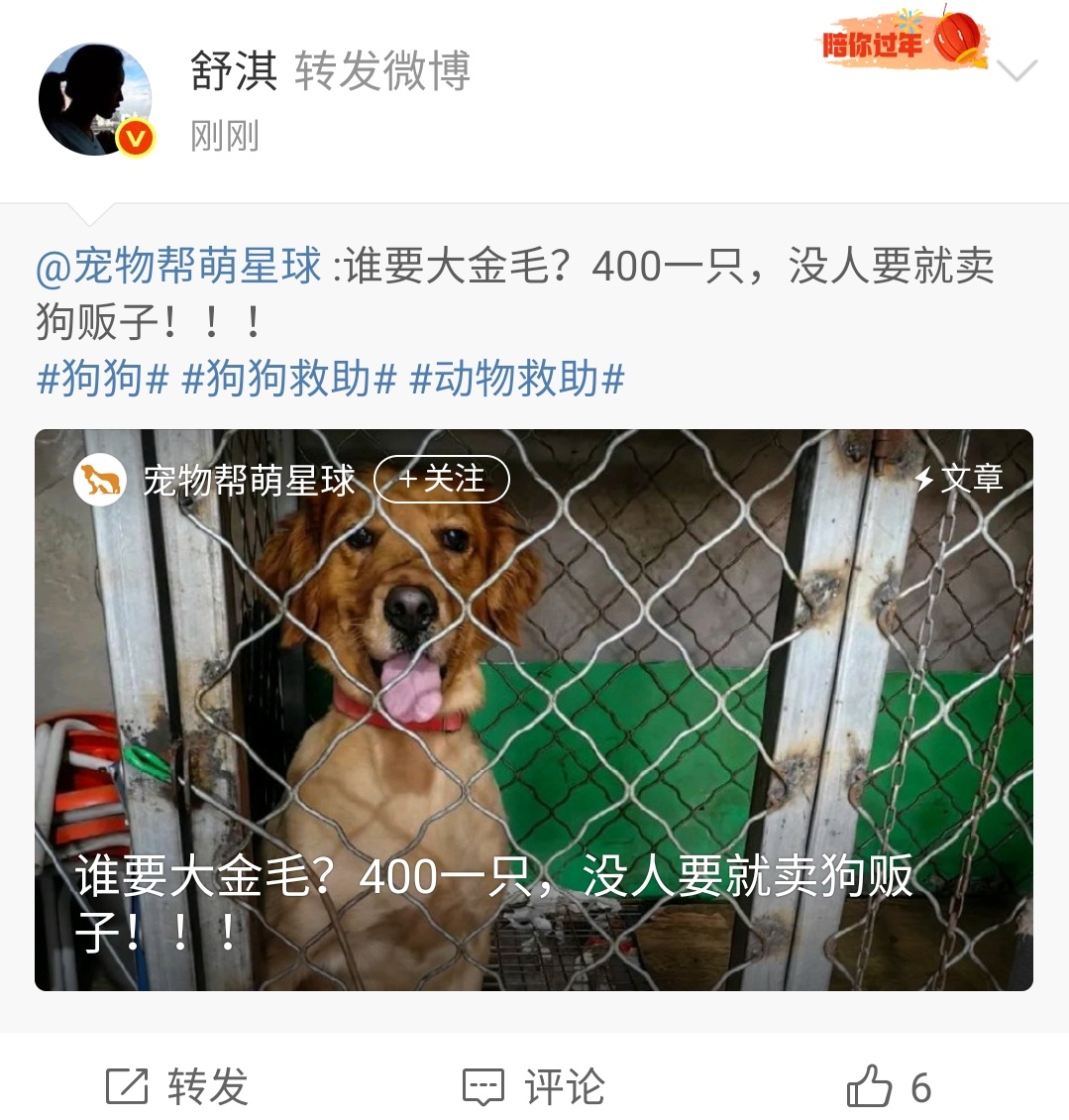 舒淇转发动物救助微博舒淇转发狗狗救助微博舒淇转发动物救助微博，姐好善良，[鼓掌]