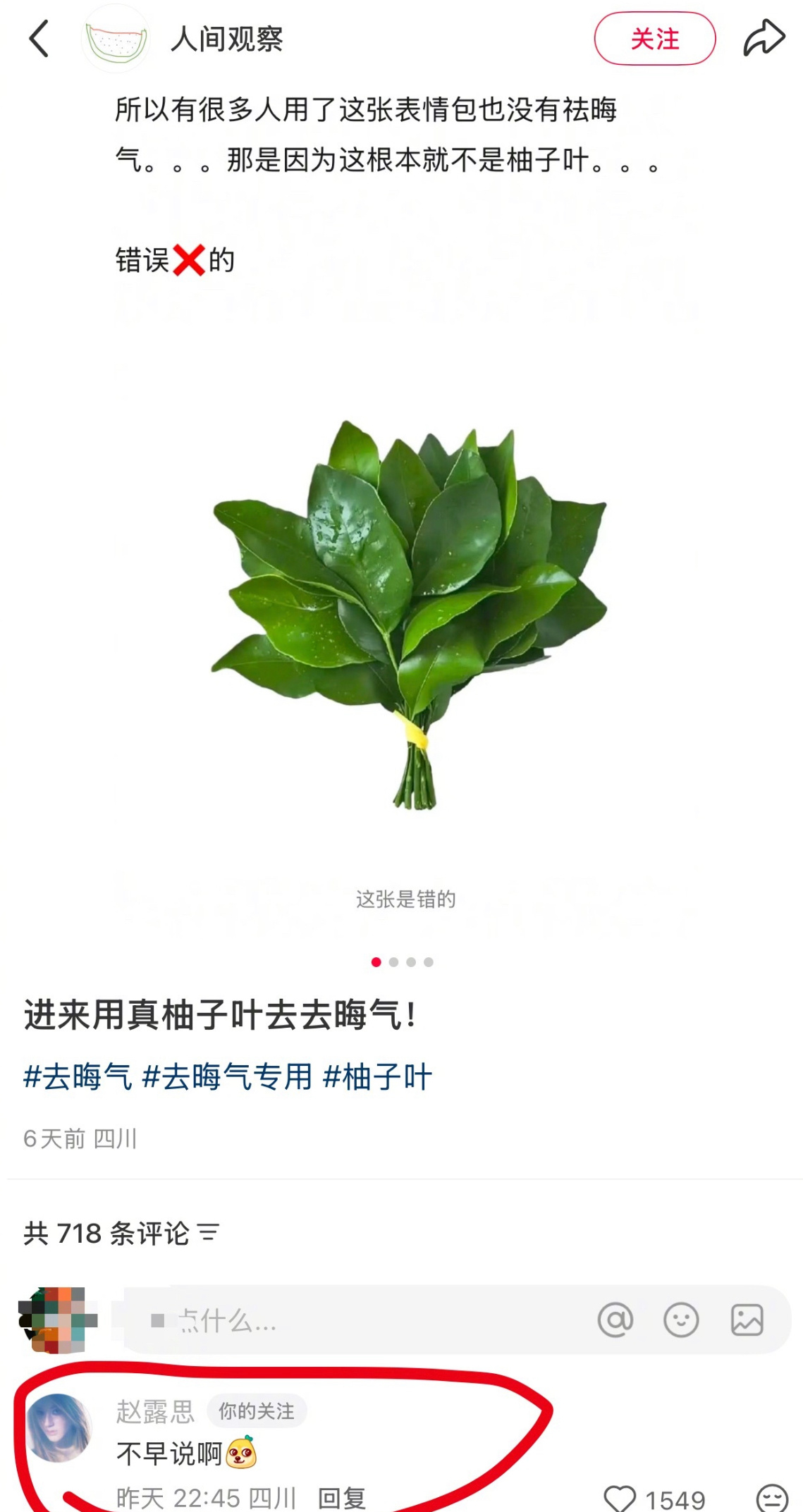 赵露思的红薯图换成了真正的柚子叶并回复网友：不早说啊。 