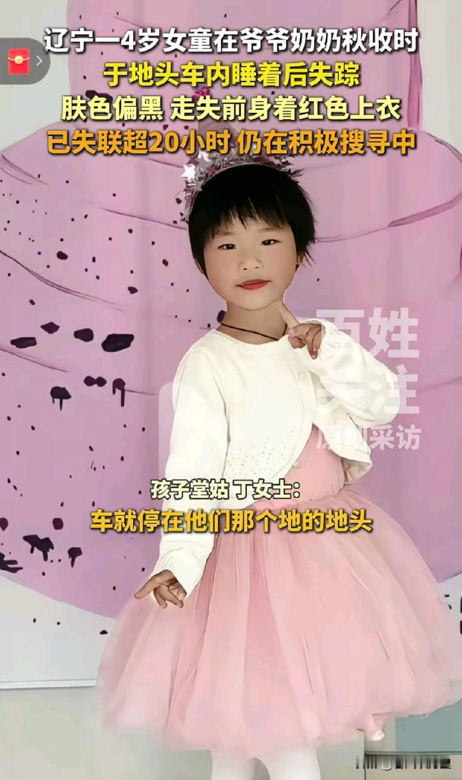 又丢了一个孩子！辽宁朝阳建平一个4岁的女童跟着爷爷奶奶上山去秋收，独自在面包车内