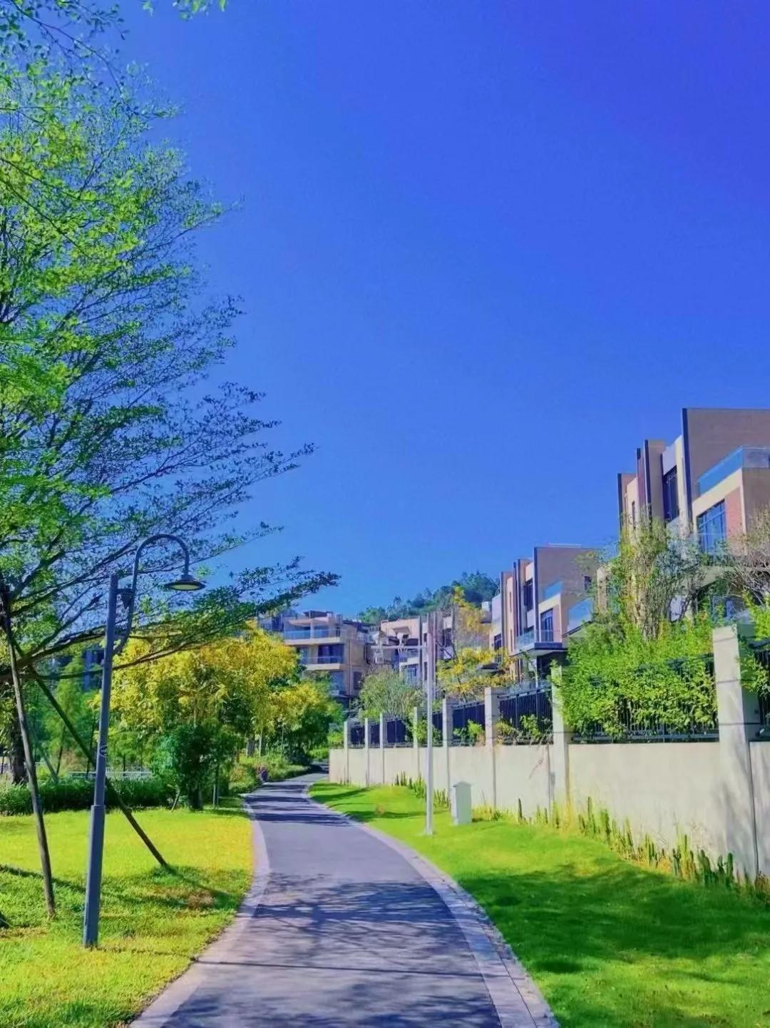  #惠州爆料# #惠州买别墅# 🏡双拼别墅：70年产权😘 温泉♨️入户  有