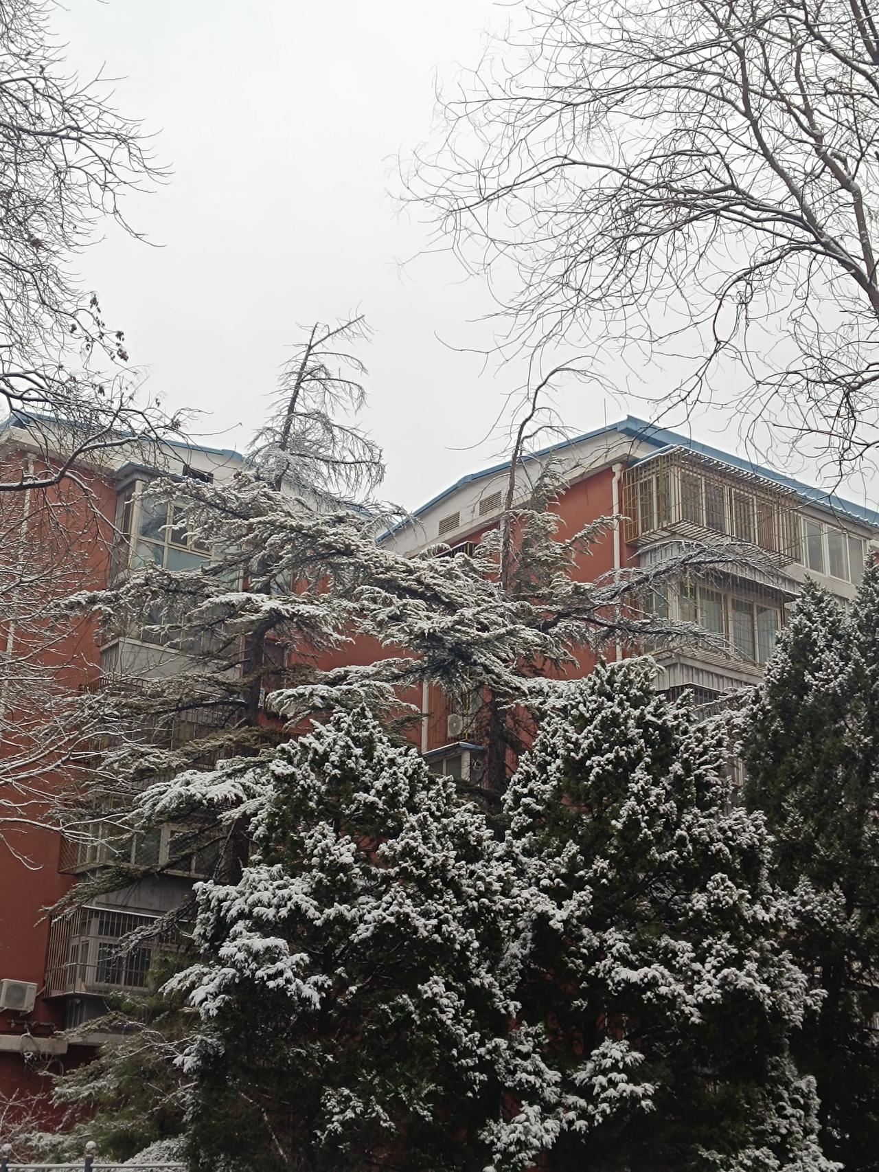 雪天路滑，大家出门一定要注意安全啊特别是骑电动车的朋友们啊，一定要注意安全啊！雪