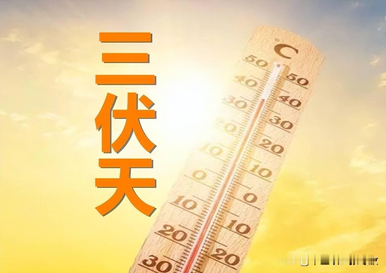 借助夏天的阳气，把体内的寒和湿逼出去
今天不科普药，说几个日常生活中要注意的点，