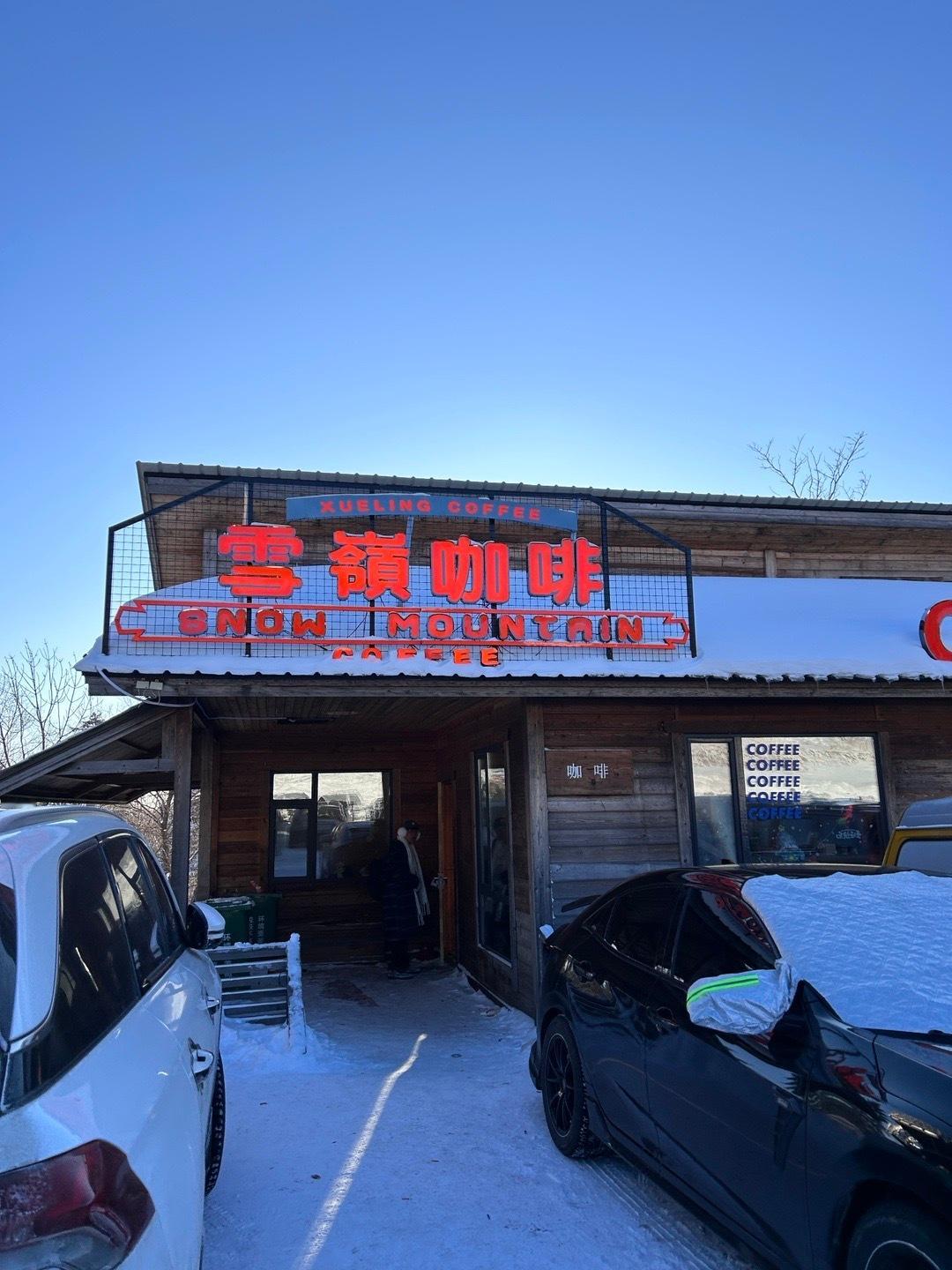 在雪岭的美景中，无需滤镜的修饰，纯白的雪景就足以让人心醉。飘雪在空气中翩翩起舞，