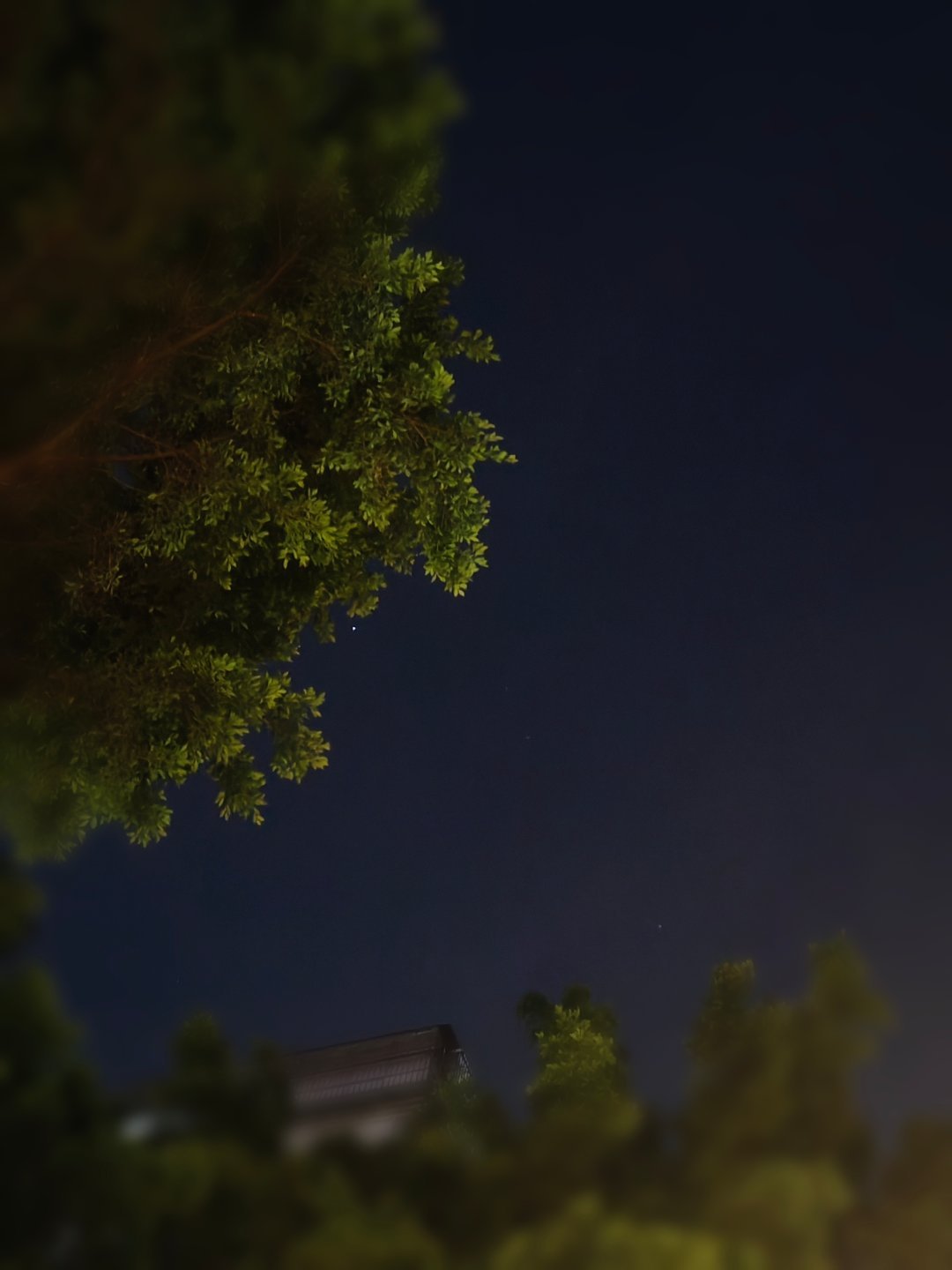 出门散散步，夜风如水 