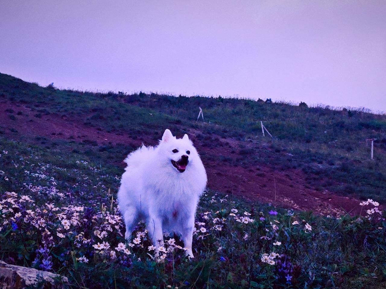 心塞的🤕🤕🤕