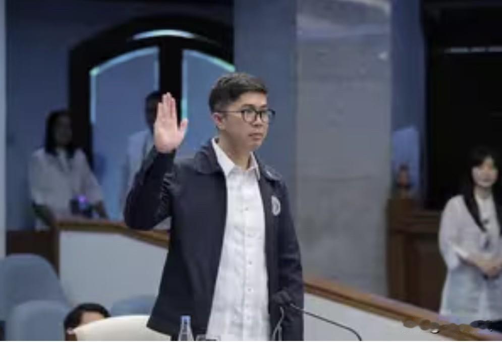 周三，部分菲律宾参议员法官就副总统莎拉.杜特尔特办公室涉密资金使用情况的审计结果
