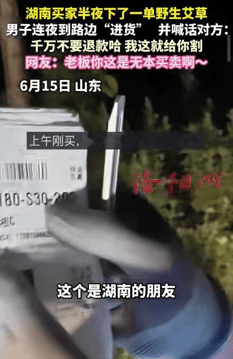 “笑不活了！”山东，男子接到湖南买家半夜下的一单野生艾草。没想到，他连夜到路边“