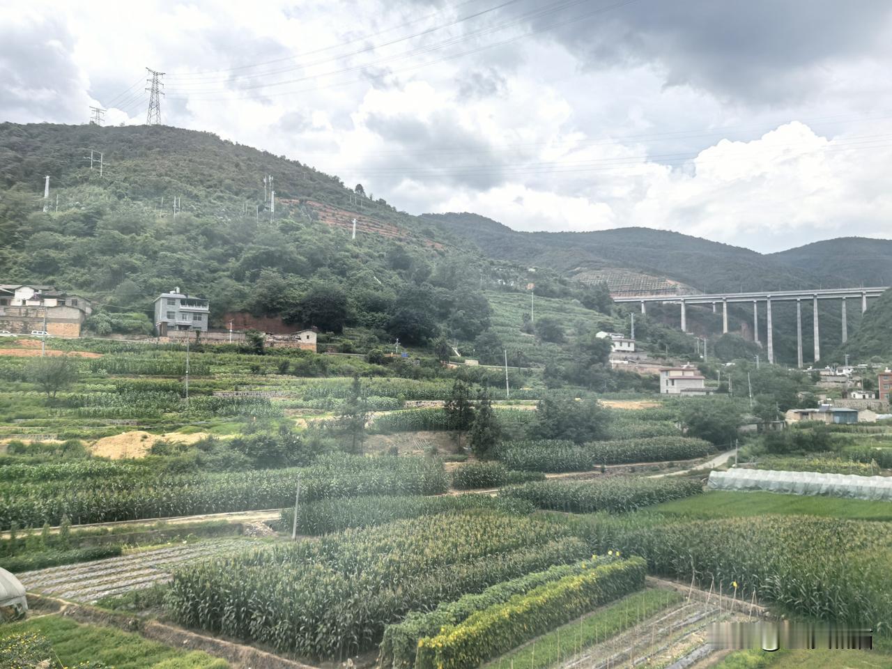 22°C到28° C 2小时20分昆明到攀枝花南
复兴号动车14：12从昆明出发