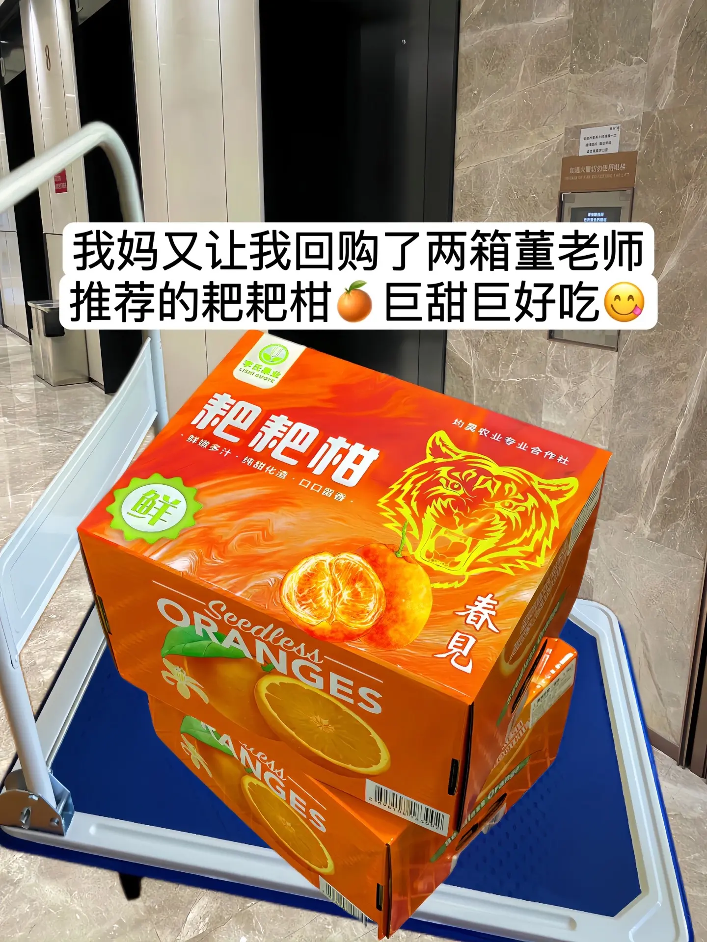 董老师推荐的爆甜多汁的春见耙耙柑～个大饱满圆润，果肉晶莹剔透，颗颗爆汁...