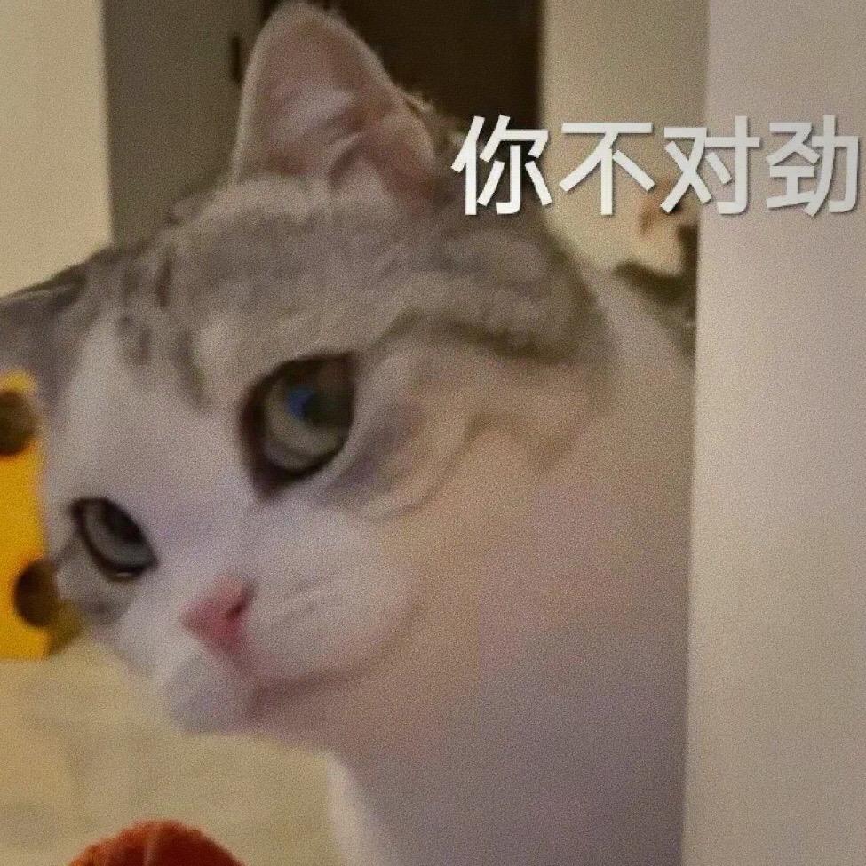 你不对劲！#创作灵感 #表情包