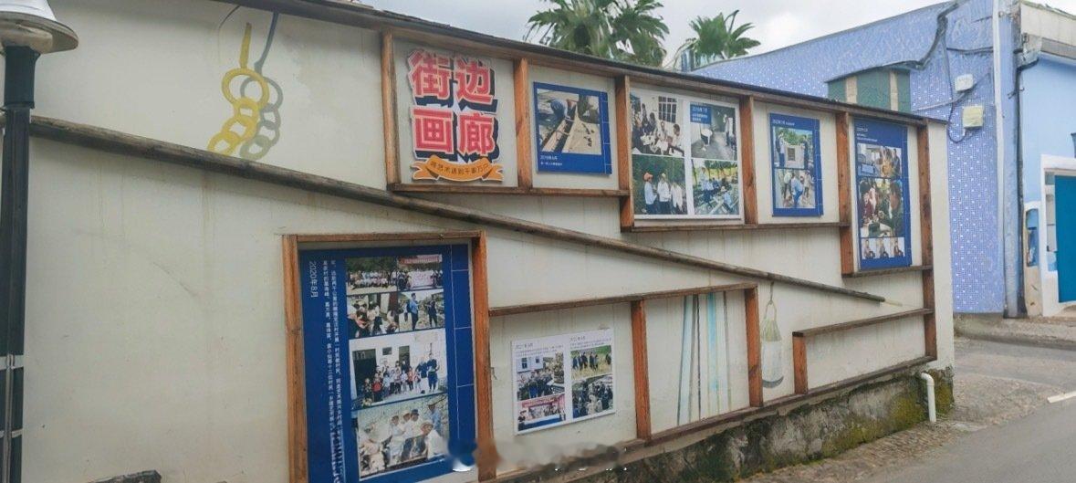 浙江这场乡村实验让艺术长在泥土里 宁波市文联在第十次代表大会前夕，以“从送文化到
