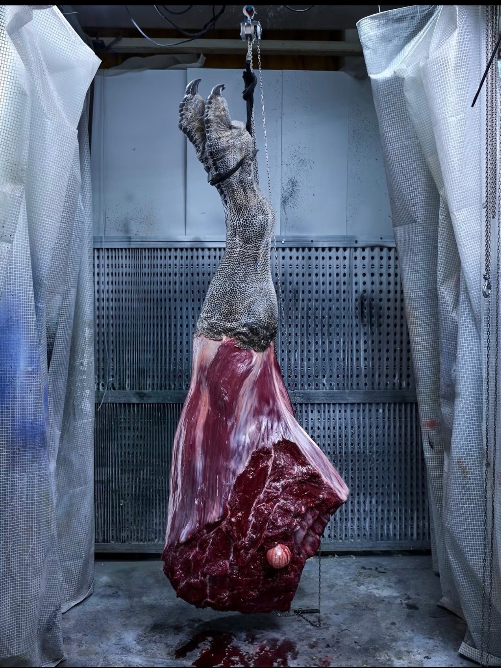 兽脚类恐龙很接近现代巨蜥，肉味道和鸡肉差不多！ ​​​