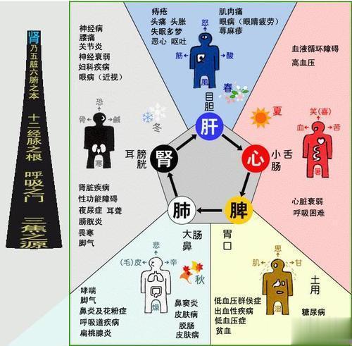 人体的工作原理是：气推着血走，血带动营养，也就是说气血能循环到的地方，功能才能正