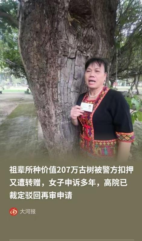 海南一名女子的祖父早年种下一棵重阳树，这棵树历经百年生长，家属自行委托机构评估，