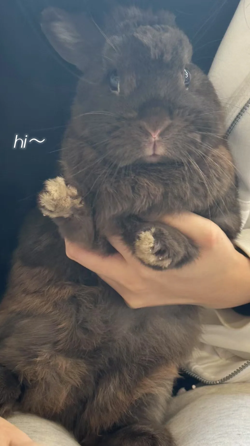 剪指甲～
