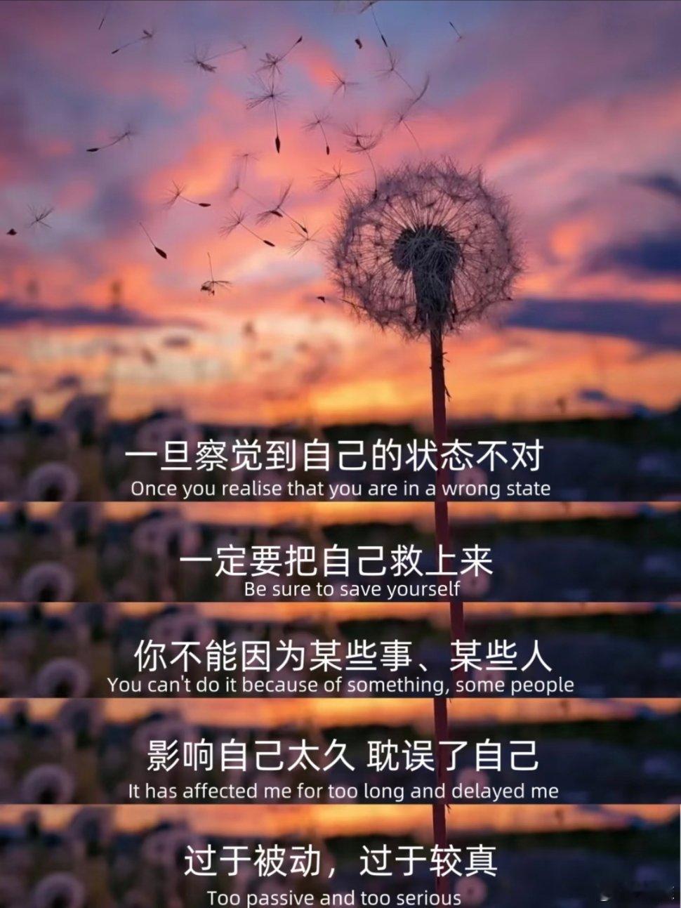 很有力量感的一段话。 