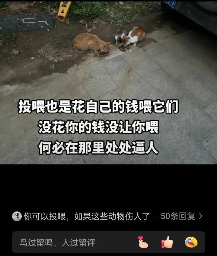 今日头条及各大自媒体平台上，上蹿下跳，活跃着一群极端恨狗分子，荒唐可笑。

当居