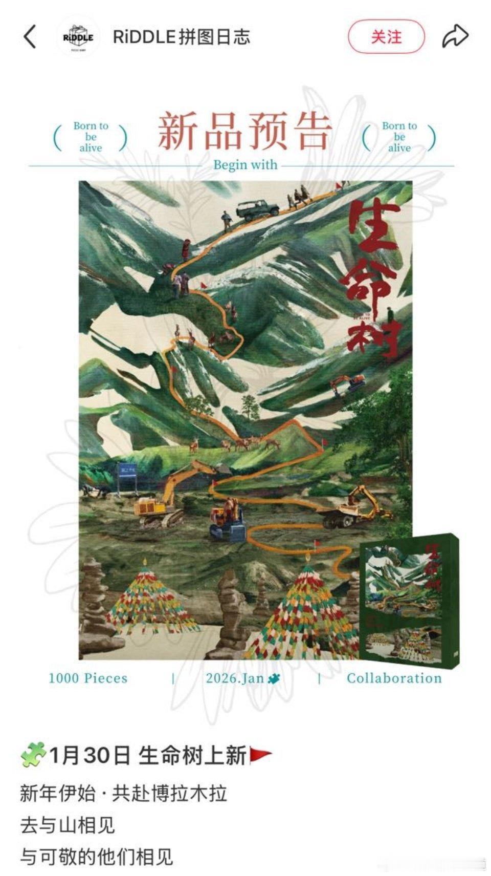 生命树这就有联名产品了？感觉这个图很难拼啊生命树