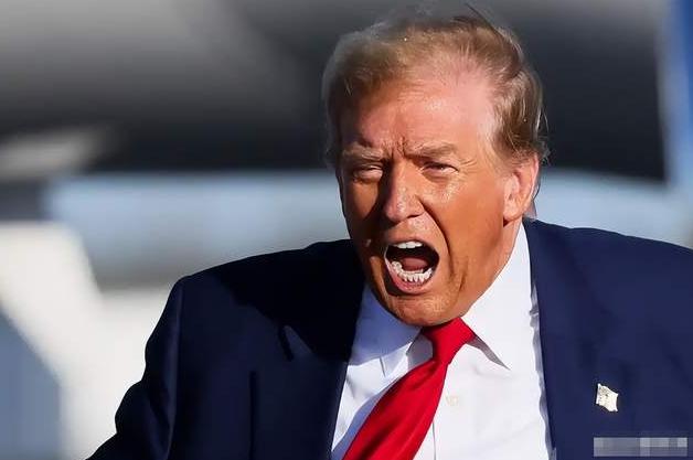 炸锅！特朗普一天两放狠话，威胁退出北约，只因盟友集体拒援

3月17日，国际政坛