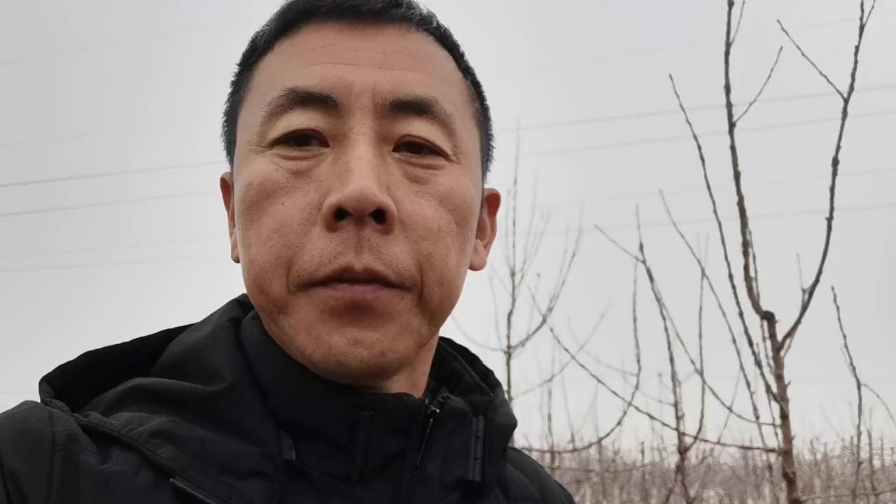 🍒大樱桃种植时间怎么选？南北差异这样记：
南方秋栽更适宜：树体落叶后，11月下