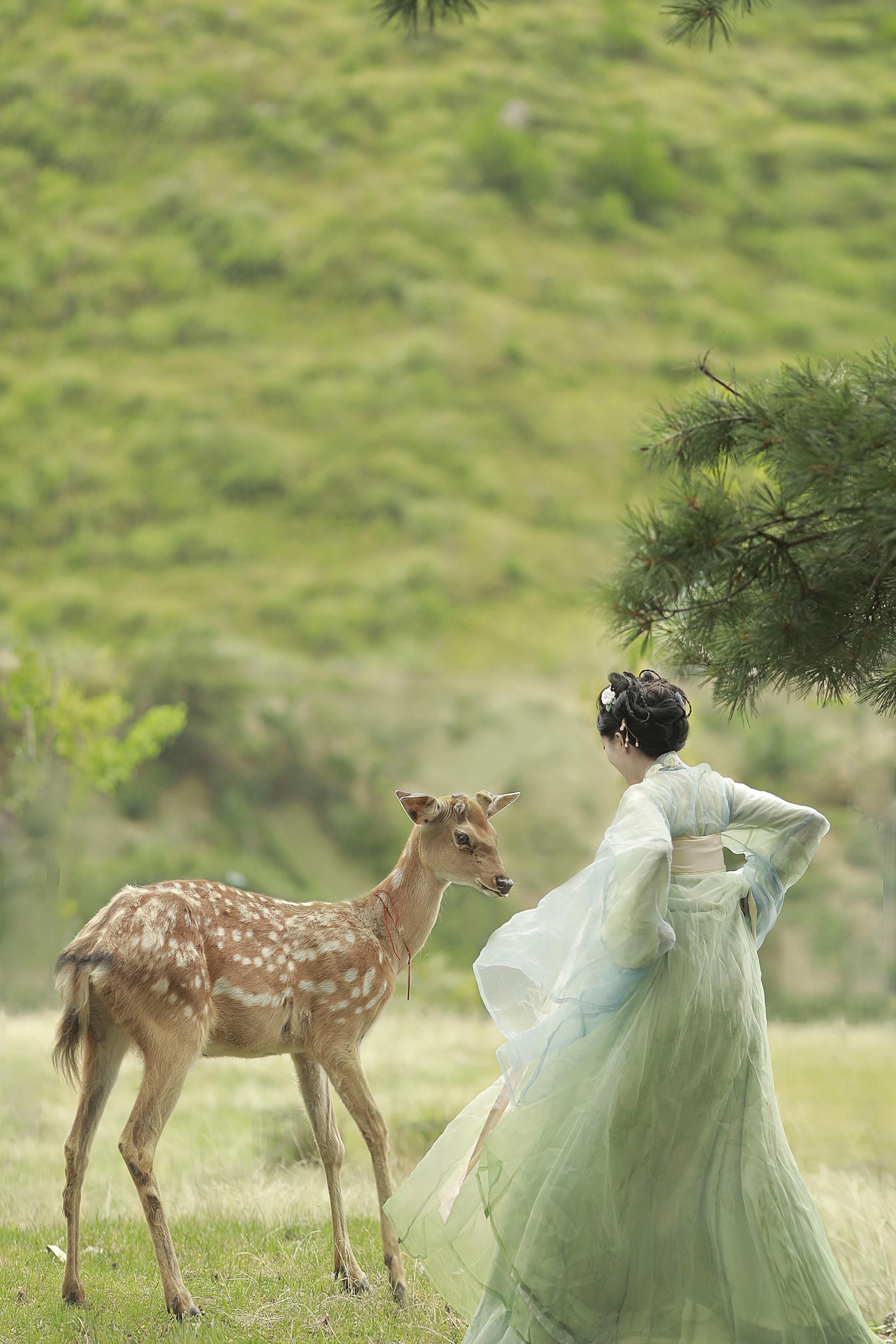 鹿寻时和小鹿的合影。这只小鹿是前年去宜昌百里荒的时候遇到的 名字叫做土...