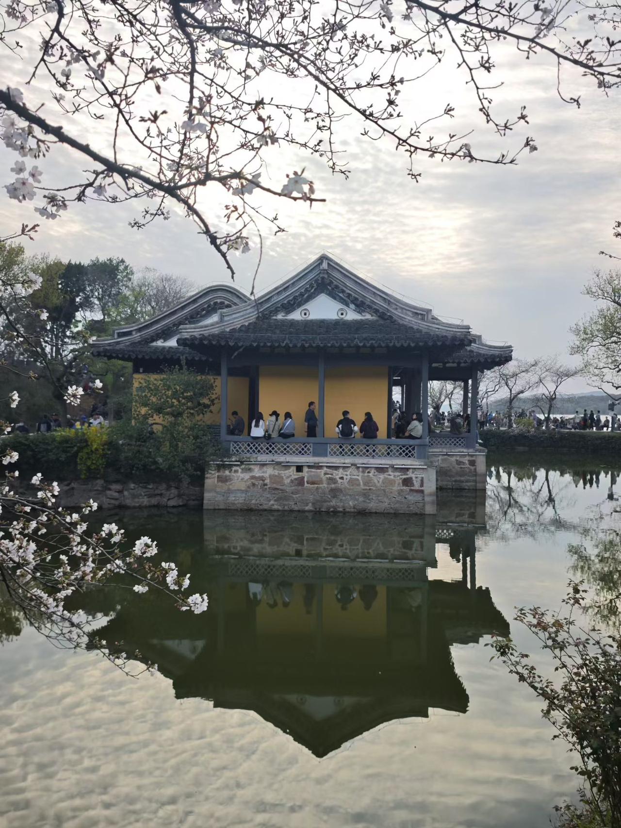 谁说只有冬天才有雪？你看，春天把雪揉碎了，挂在枝头，美轮美奂。

真的是：忽如一