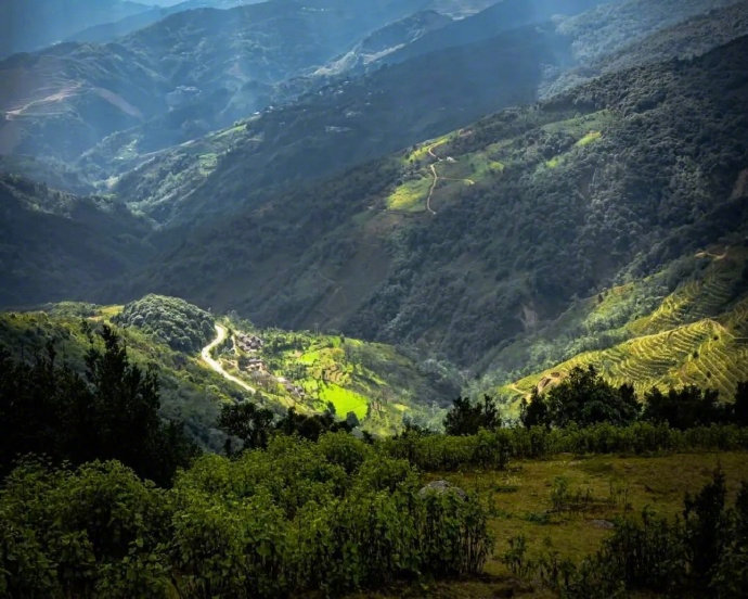 云南哀牢山，这座巍峨的山脉，既承载着自然的神秘面纱，又潜藏着不容小觑的危机。尽管