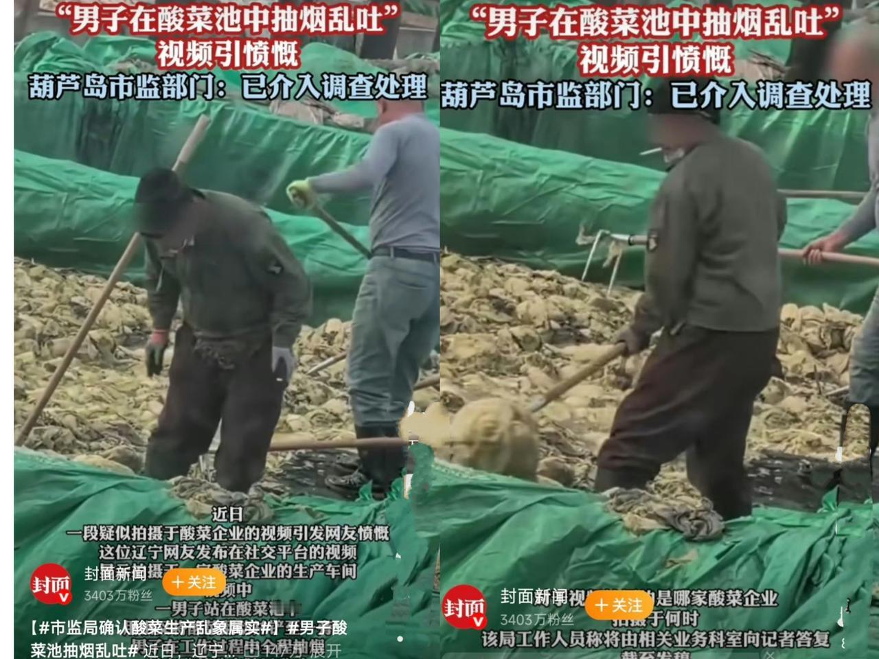 近日，一段辽宁葫芦岛某酸菜生产企业的现场视频引爆网络。画面中，一名工人直接站在酸