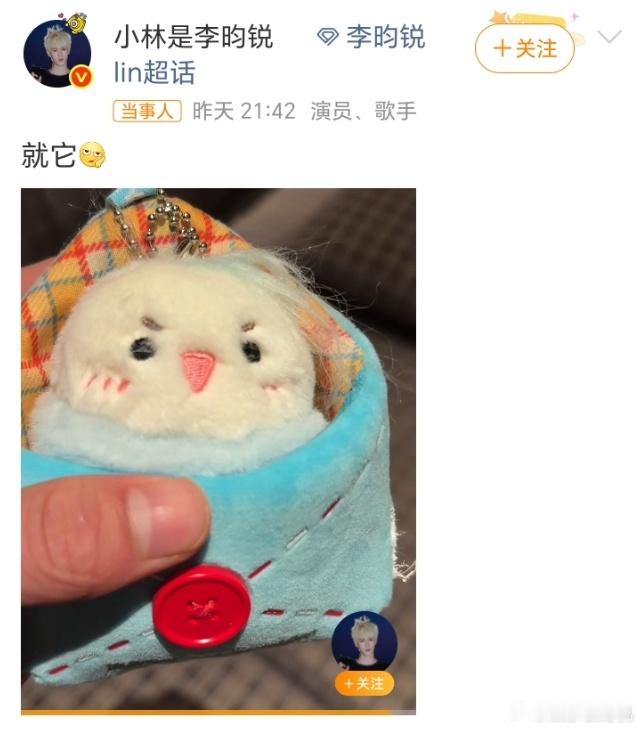 李昀锐晒空姐给的玩具太可爱了小林，已主动展示空姐送的玩具！是一只说武汉话的“蒜鸟