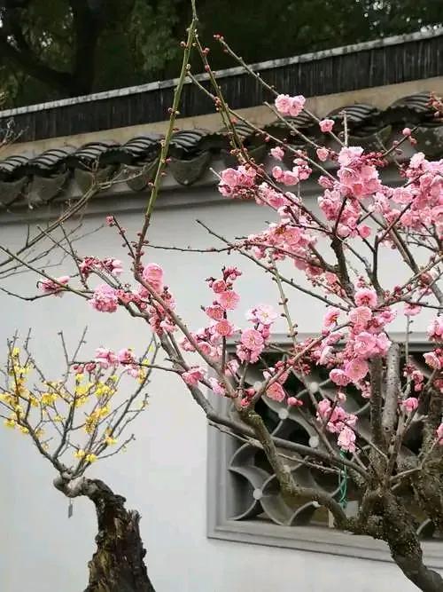 上联：窗含桃花笑晚风；
下联：？？？