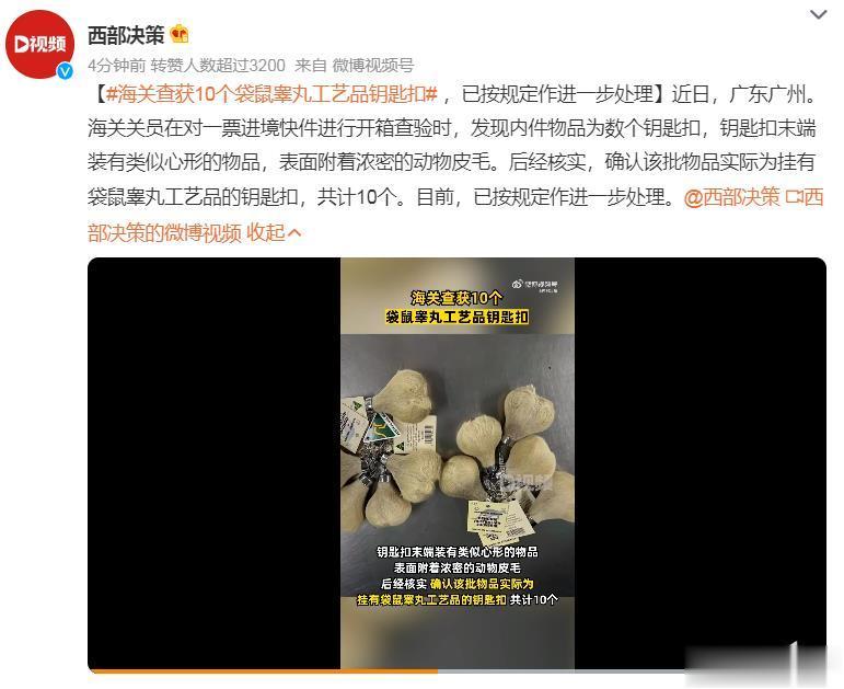 #海关查获10个袋鼠睾丸工艺品钥匙扣# 袋鼠：你们人类啊，可真是闲啊，但是，蛋疼