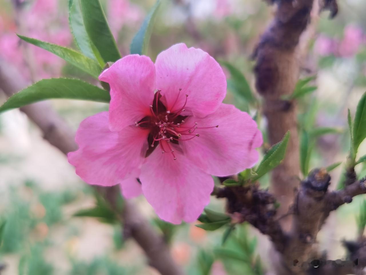 4月10日盘前速览：十字星之后，看两个信号
大概率磨底，等谈判结果，谨慎乐观
