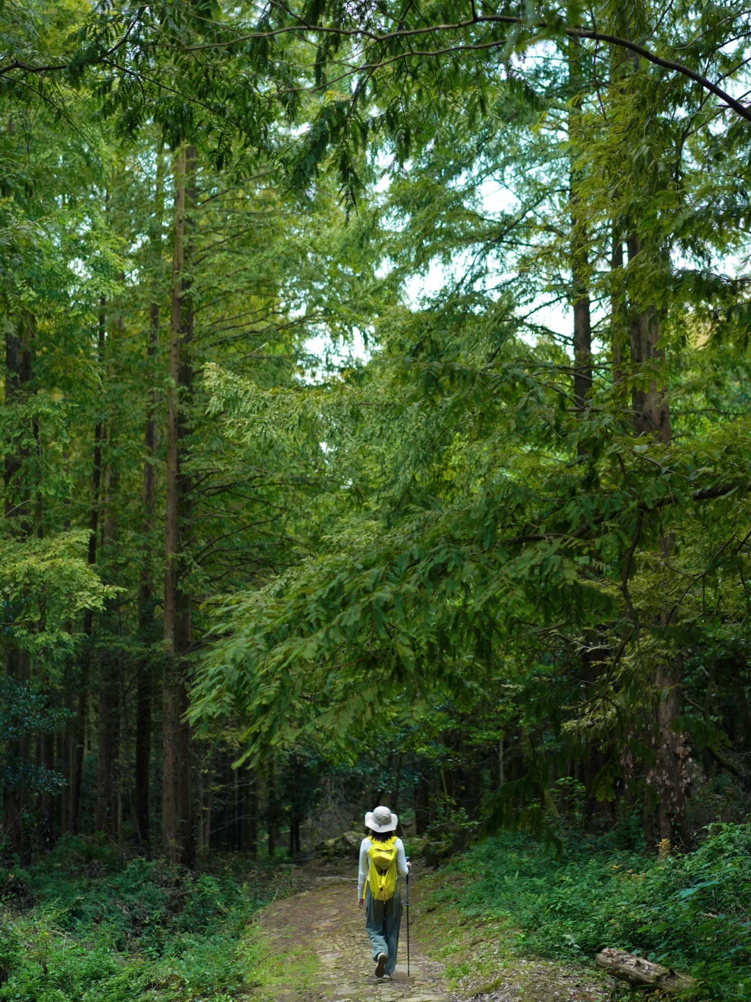 宁波爬山徒步｜东钱湖畔 福泉山下 古道漫步