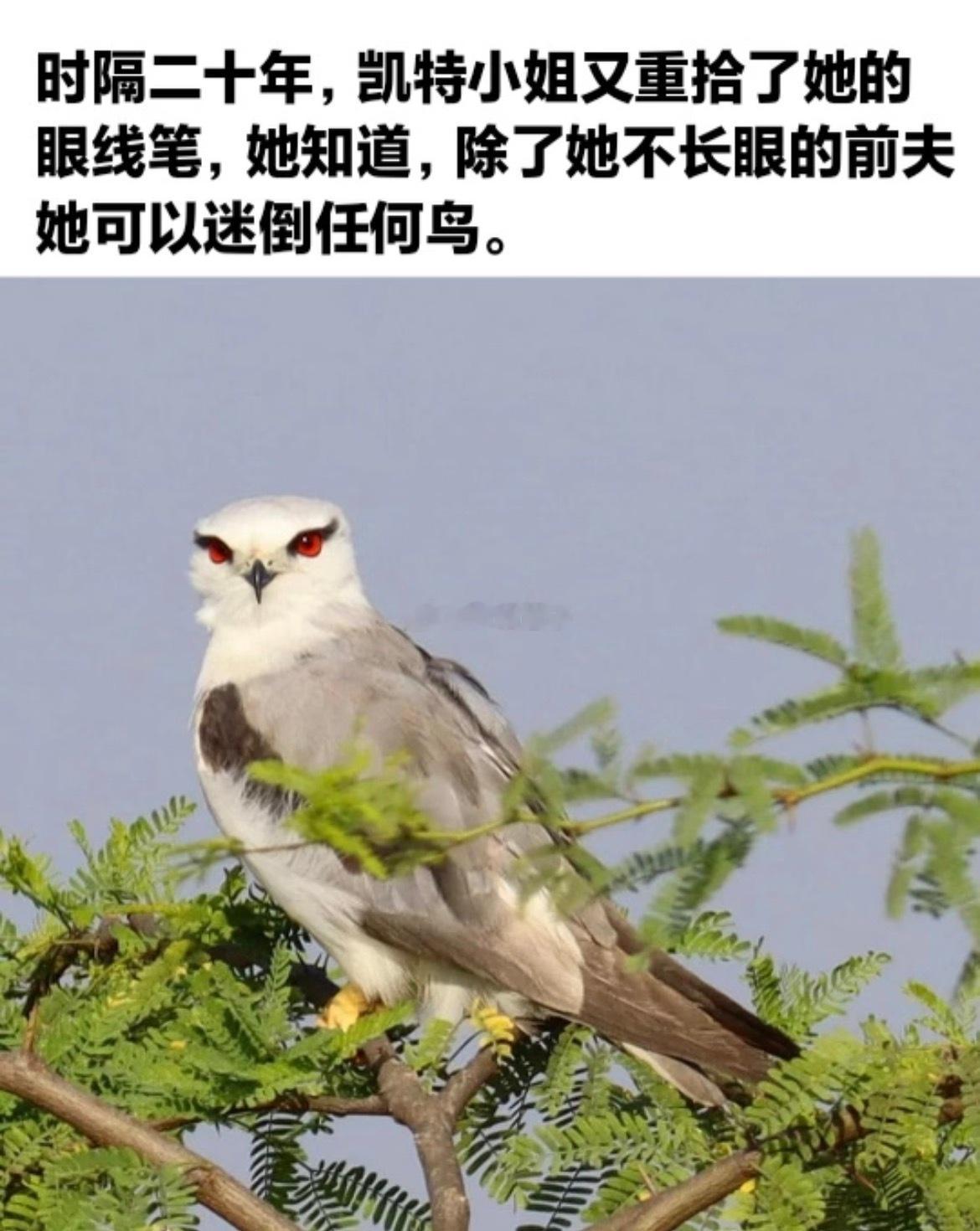 我无法回答你的任何问题，因为我的嘴巴已经完全被精品大果撑满了