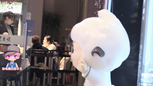 沈腾马丽马年春晚 哈哈哈，一看见腾哥就想笑。这是怎么回事