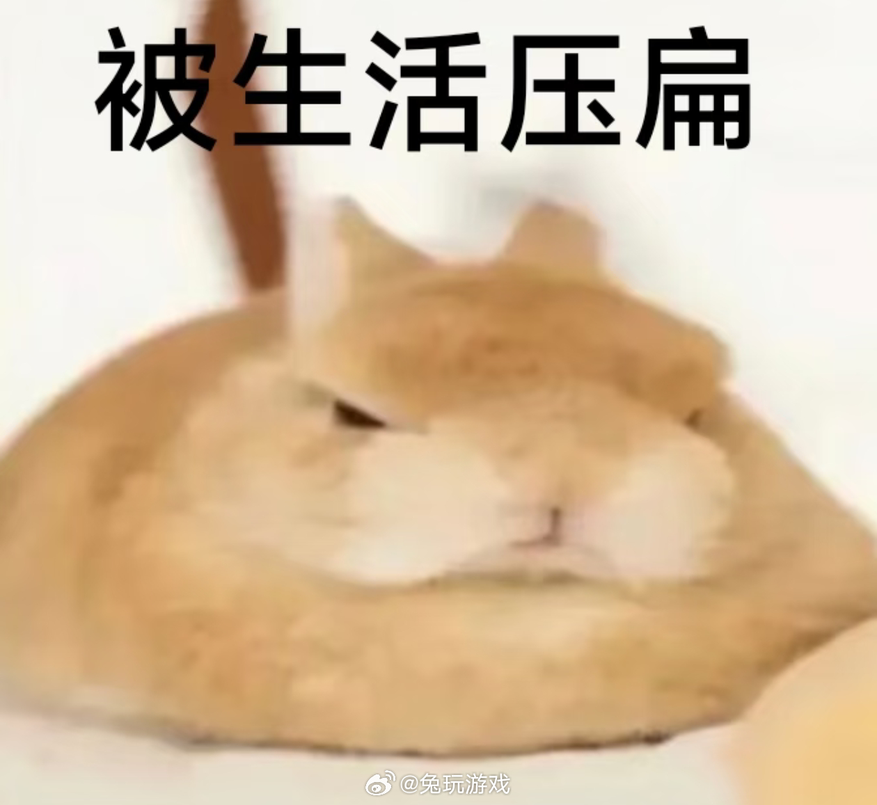 深夜·兔的采访幕后故事7月22号，采访Parukia选手:（拍立得姿势）骑士礼怎