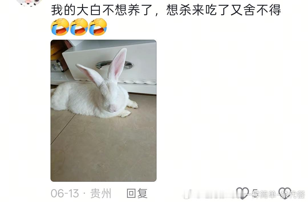 14363🐇【】刷视频刷到一个呼吁不要弃养兔的视频，结果plq有个人晒自己的兔